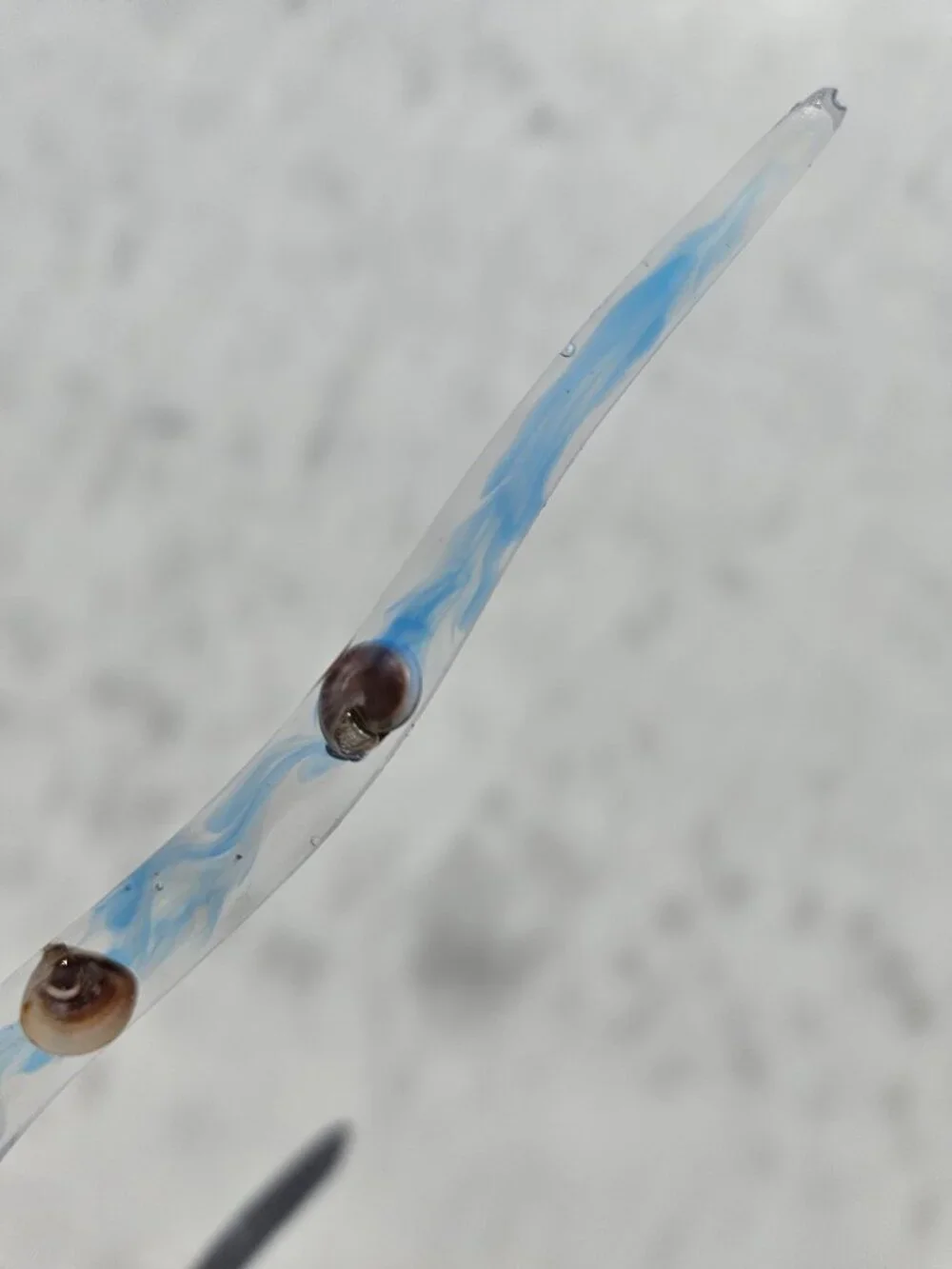 Handmade Hair Stick Beach Water Wet Sand Shells